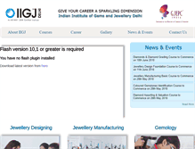 Tablet Screenshot of iigjdelhi.org